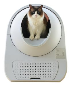 【OFT】 自動ネコトイレ CATLINK SCOOPER YOUNG 本体 国内正規取扱店 キャットリンク スマホアプリを使用しないタイプ 本体のパネルでの操作 OFTオリジナル化粧箱